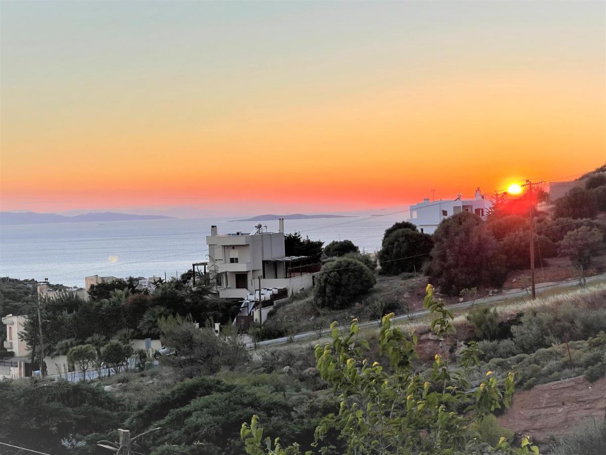 "Stergiou Luxury Apartments" Με Κοινη Πισινα Saronida エクステリア 写真