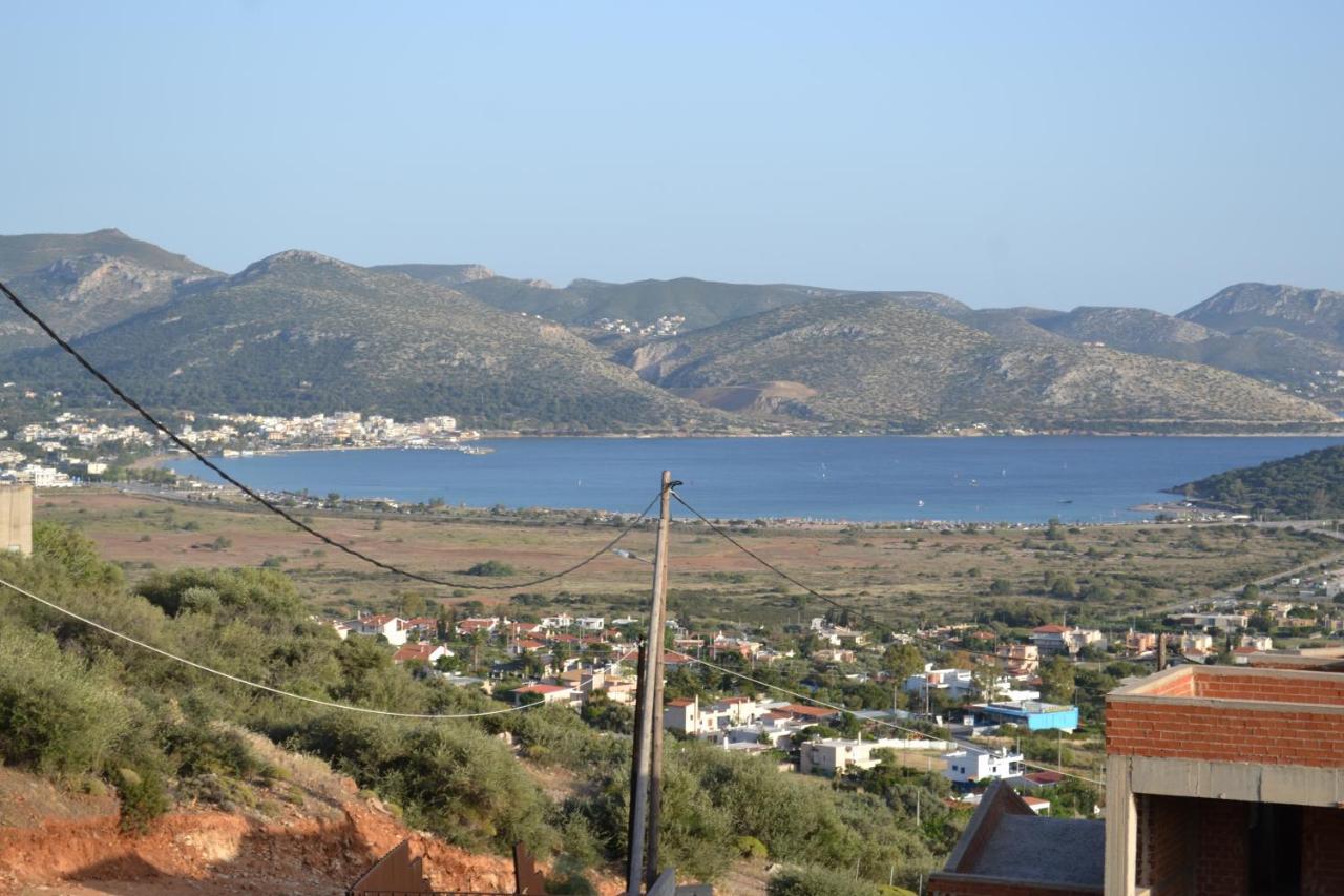 "Stergiou Luxury Apartments" Με Κοινη Πισινα Saronida エクステリア 写真