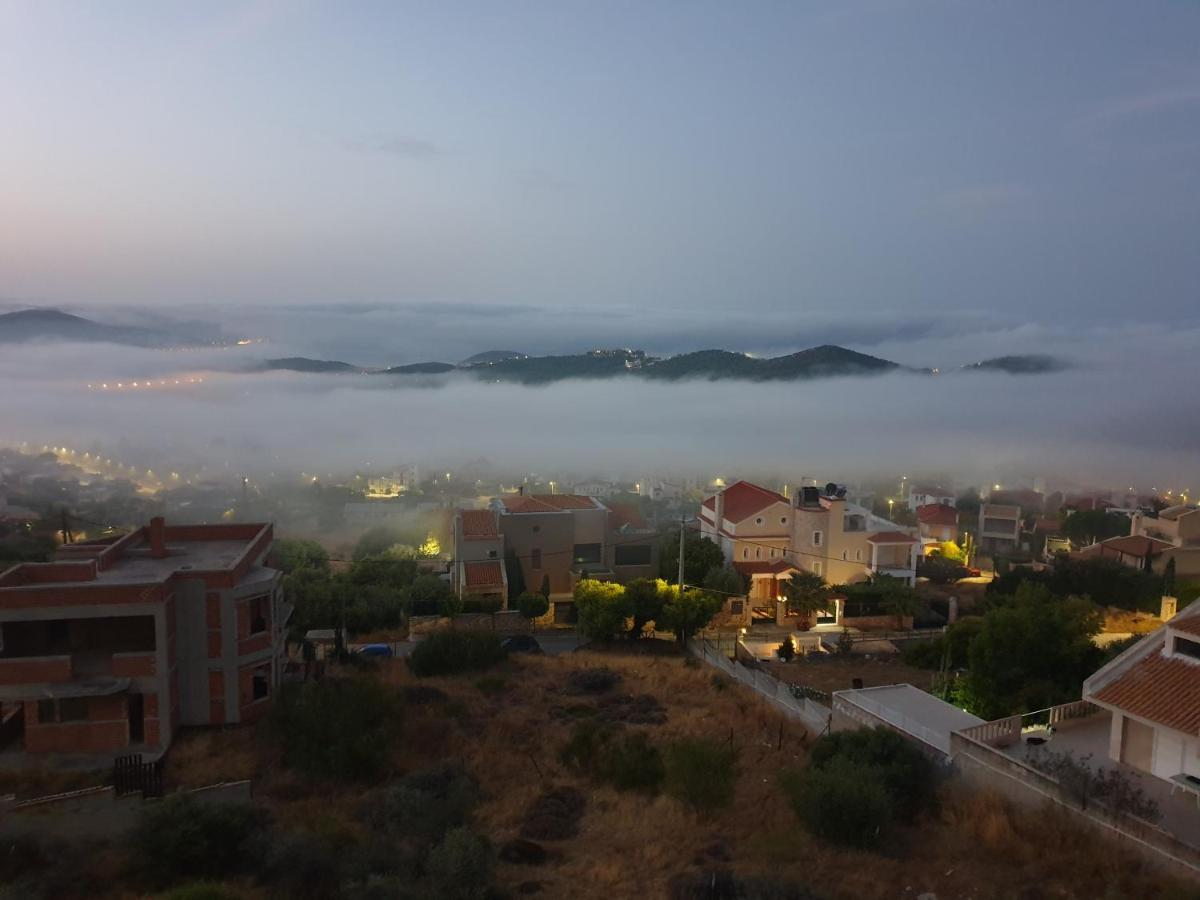 "Stergiou Luxury Apartments" Με Κοινη Πισινα Saronida エクステリア 写真