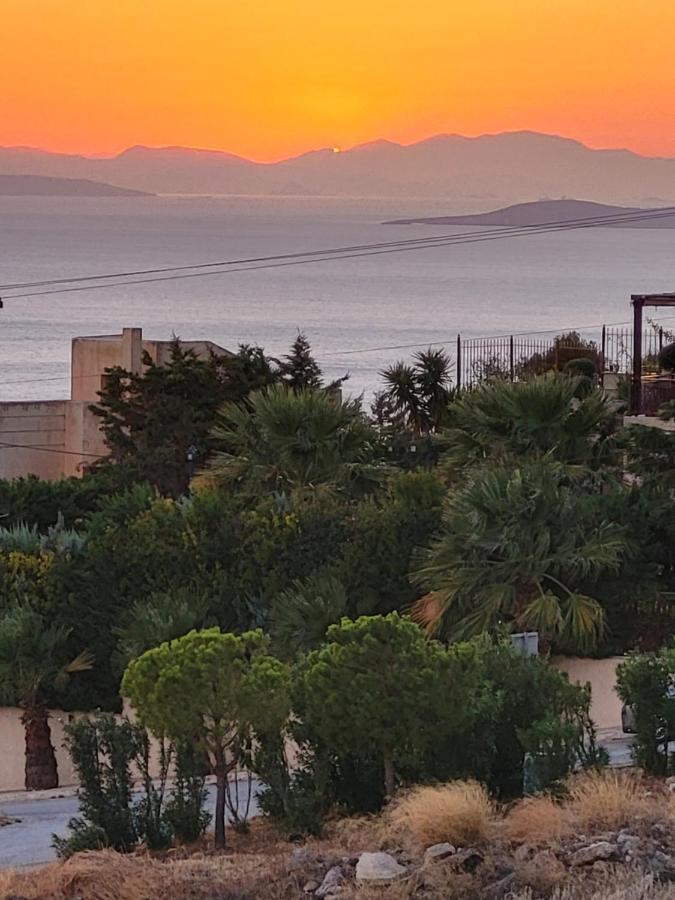 "Stergiou Luxury Apartments" Με Κοινη Πισινα Saronida エクステリア 写真